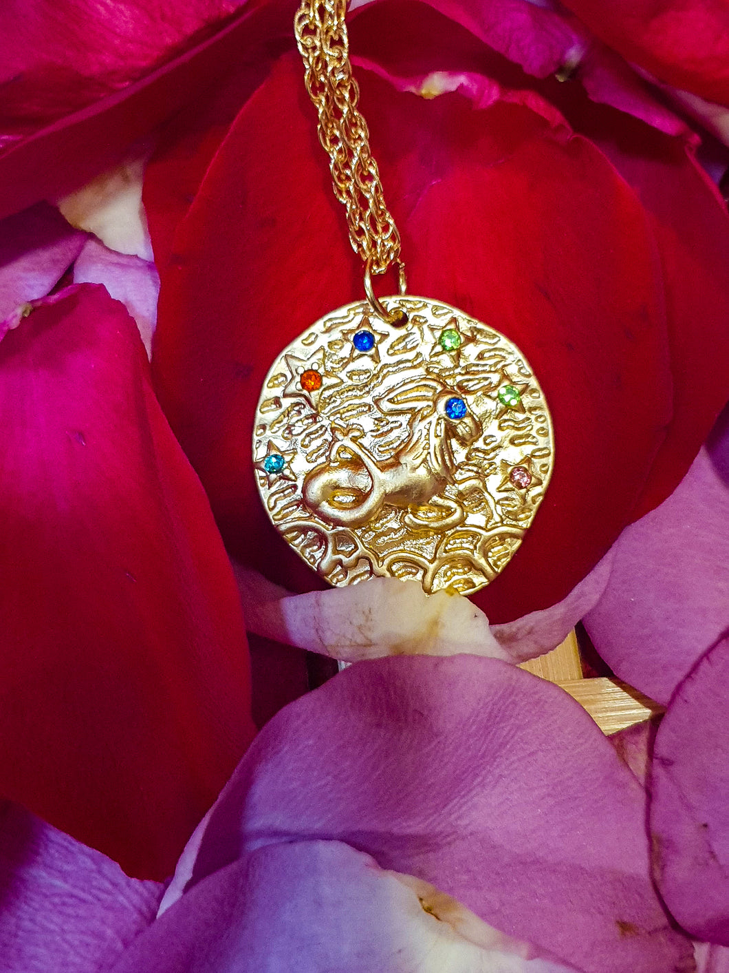 Capricorn 12 Star Constellation Coin Necklace