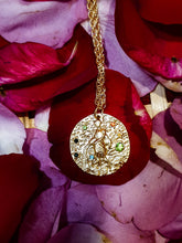 Load image into Gallery viewer, Aquarius 12 Constellation Coin Necklace
