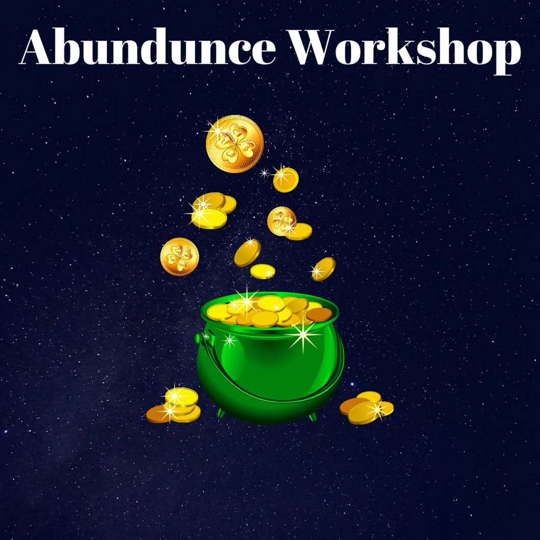 Abundunce Workshop